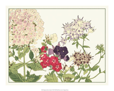 Japanese Flower Garden II Stampa artistica
