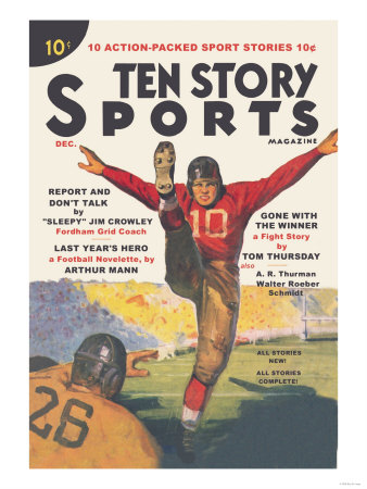 Ten Story Sports Poster