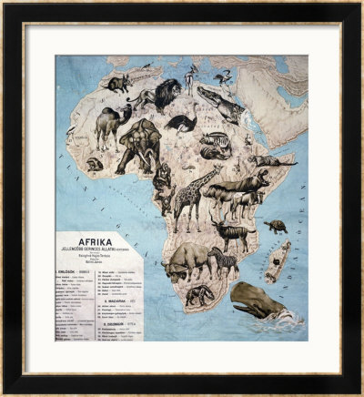 Map of Animals in Africa Sf Framed Giclee Print