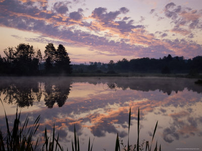 Schwenningen Germany