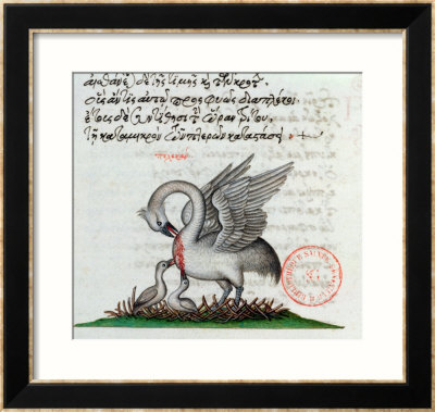 A Pelican Piercing Its Breast to Feed Its Young, from a Bestiary by Manuel Philes A Pelican Piercing Its Breast to Feed Its Young, from a Bestiary by Manuel Philes
