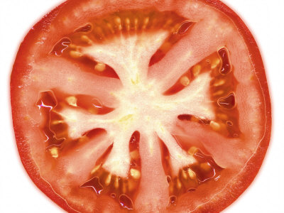  morris-steven-tomato
