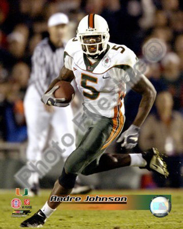 Andre Johnson Photo
