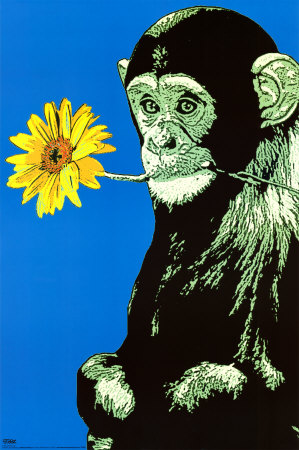 Monkey With Flower Prints by  Steez