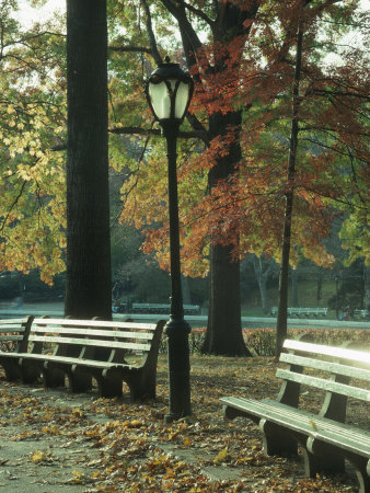 central park nyc pictures. Central Park, NYC, NY Photographic Print by Kurt Freundlinger at AllPosters.com