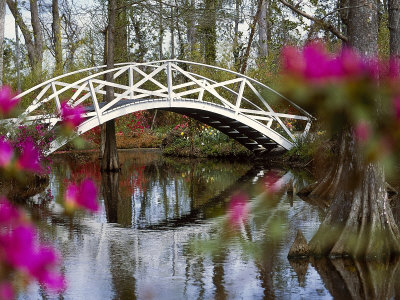 Magnolia Gardens, Charleston