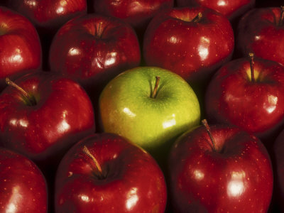 Green Apple Among Red Apples Photographic Print