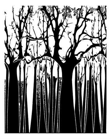 black and white tree photos. Art -Black and White Tree