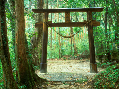 external image tilley-rob-mountain-shrine-yakushima-kagoshima-japan.jpg