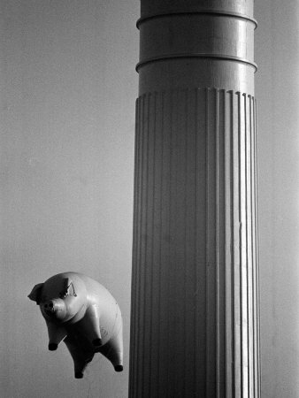 pink-floyd-inflatable-flying-pig-at-battersea-december-1976.jpg