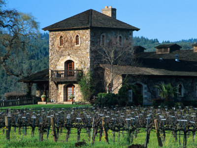 Camada de setter Gordon Alves-john-v-sattui-winery-and-vineyard-in-st-helena-napa-valley-wine-country-california-usa