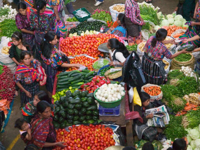 vegetable market illustration