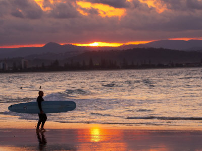 gold coast queensland australia. Surfer at Sunset, Gold Coast,