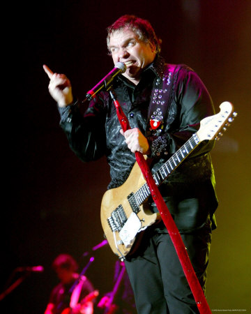 meat loaf meat