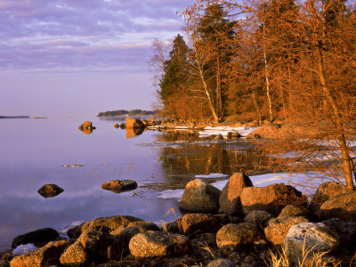 nikki-heikki-morning-light-in-spring-south-finland.jpg