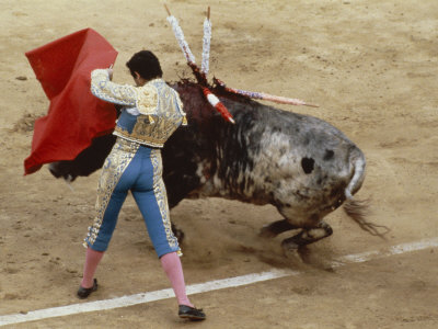 Bullfighting, Plaza de Toros, Ronda, Andalusia, Spain Photographic Print