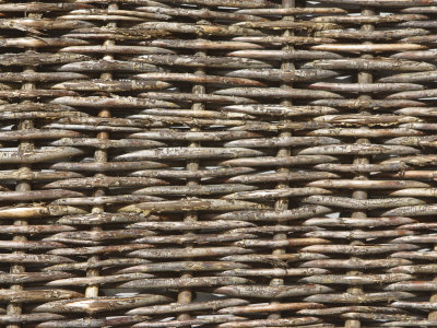 basket close up