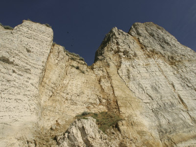 Rocky Cliff Face