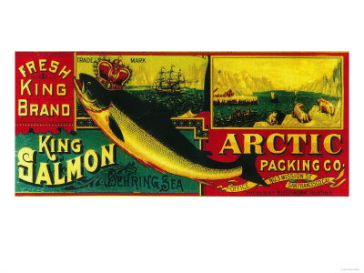 Arctic Salmon