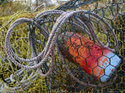 Patterns and Colors of Vintage Crab Traps and Floats Photographic Print by Stephen St. John