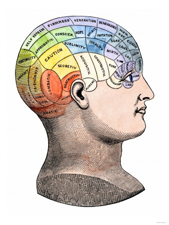 Phrenology Model of the Locations of the Various Organs of Mind in the Human Head Giclee Print