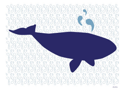 Balena Blu