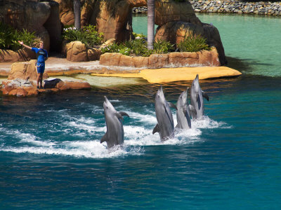 Seaworld Qld