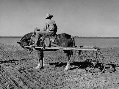 Horse Assisting the Farmer in Plowing the Field Photographic Print