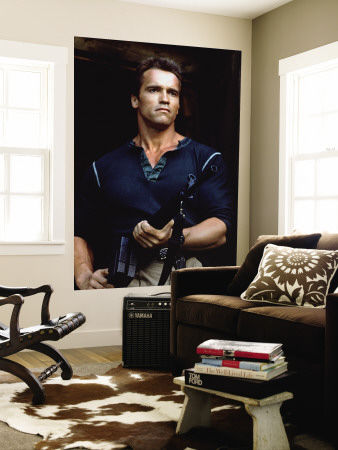 Arnold Schwarzenegger Wall Mural