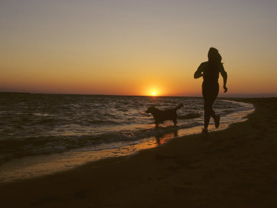horses running on the beach at sunset. Woman and Her Dog Running
