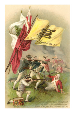 Don't Tread on Me Flag, Battle Scene Premium Poster