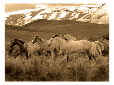 pictures of horses running. Horses Running I Giclee Print