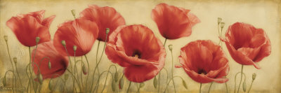 Poppies Grace I Art Print