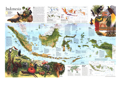 1996 Indonesia Theme Map Posters by  National Geographic Maps