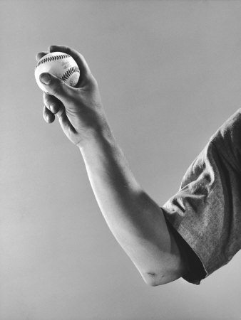 feller