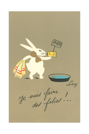 Rabbit Preparing to Bathe Premium Poster