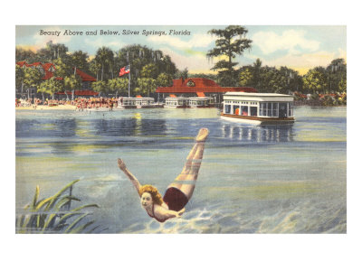 Lady Swimmer, Silver Springs, Florida Posters