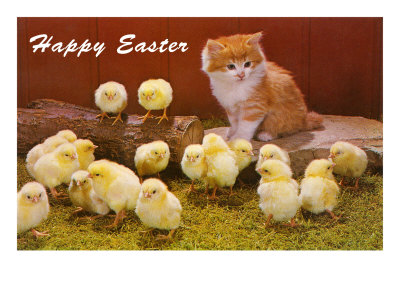 Pasen :D Cadeau-topic :D Happy-easter-kitten-and-chicks
