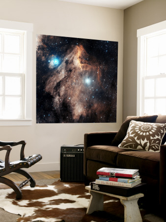 Pelican Nebula Wall Mural