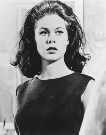 Elizabeth Montgomery Photo