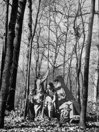 Children In Woods