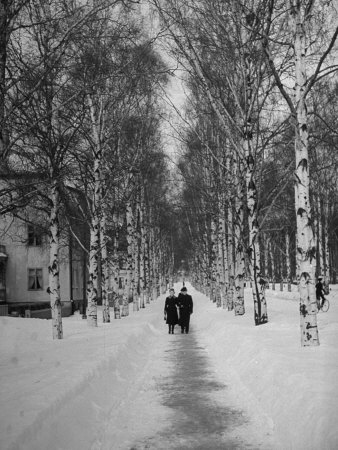 http://cache2.allpostersimages.com/p/LRG/37/3796/RSIIF00Z/posters/mydans-carl-couple-walking-through-a-snow-covered-road.jpg