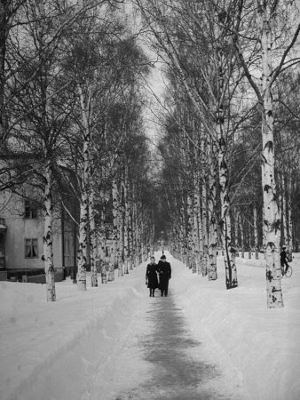 Anime Couples In The Snow. Couple Walking Through a Snow