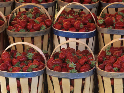 Strawberries for Sale in French Market Stampa fotografica
