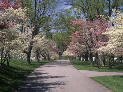 lexingtonkentucky lexingtonkentucky