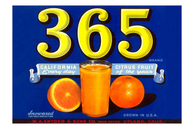 Two Glasses of Orange Juice Premium Poster