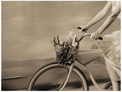 Bike In Motion Stampa artistica