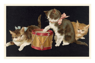 Kittens with Drum Premium Poster