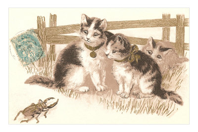 Cats Watching Beetle Premium Poster