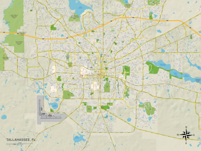 Political Map of Tallahassee, FL Art